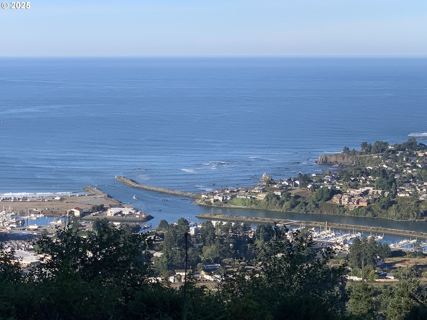 RARE OPORTUNITY!!! 6.48 acres of luxury ocean view property - Beach Lot for sale in Brookings, Oregon on Beachhouse.com