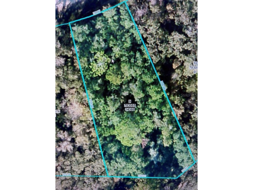 Nice approx. half acre residential lot to build your dream home - Beach Lot for sale in Weeki Wachee, Florida on Beachhouse.com