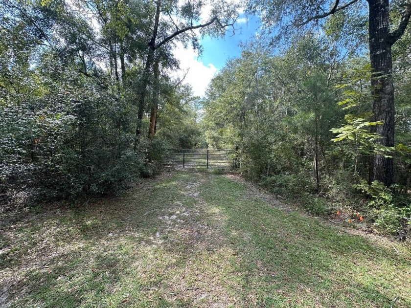 Beautiful 8.56 acres on Lost Creek.  Great spot for your forever - Beach Acreage for sale in Crawfordville, Florida on Beachhouse.com