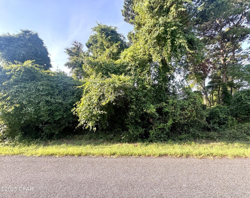 The vacant lot for sale in Gulfview Heights on 30A offers a - Beach Lot for sale in Santa Rosa Beach, Florida on Beachhouse.com