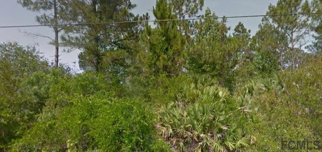 Mins away from the Beach . Premier location with access to - Beach Lot for sale in Palm Coast, Florida on Beachhouse.com