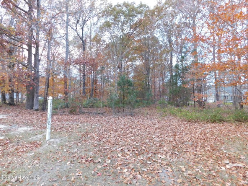 Build your Dream Home in this Private Peaceful Waterfront - Beach Lot for sale in Hertford, North Carolina on Beachhouse.com