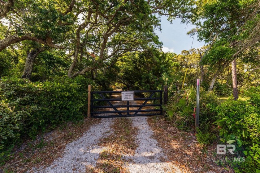 Experience the rare combination of privacy, beauty, and - Beach Lot for sale in Gulf Shores, Alabama on Beachhouse.com