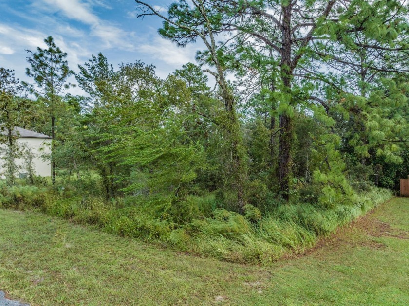 Under contract-accepting backup offers. HALF ACRE ~ BUILD YOUR - Beach Lot for sale in Weeki Wachee, Florida on Beachhouse.com