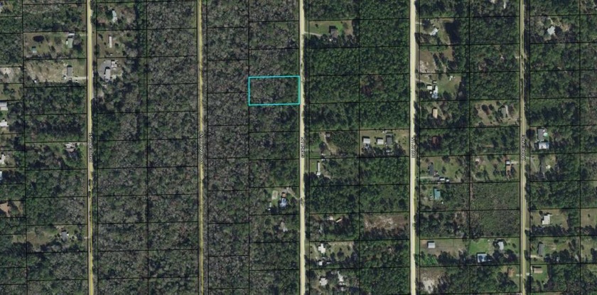 Beautiful home site in the country. Ready to build your dream - Beach Lot for sale in Bunnell, Florida on Beachhouse.com