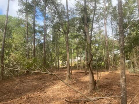 *Rare Waterfront Lot* in established Point Clear Riveria located - Beach Lot for sale in Gautier, Mississippi on Beachhouse.com