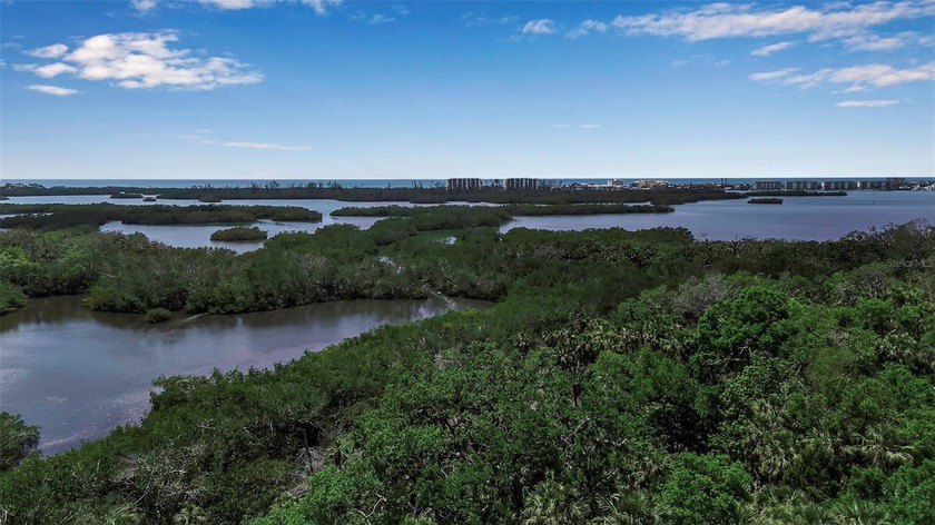 COMPLETELY UPDATED WITH GORGEOUS VIEWS! Prepare to be captivated - Beach Condo for sale in Osprey, Florida on Beachhouse.com