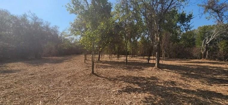 Two gorgeous lots in the Matagorda townsite with trees - Beach Lot for sale in Matagorda, Texas on Beachhouse.com