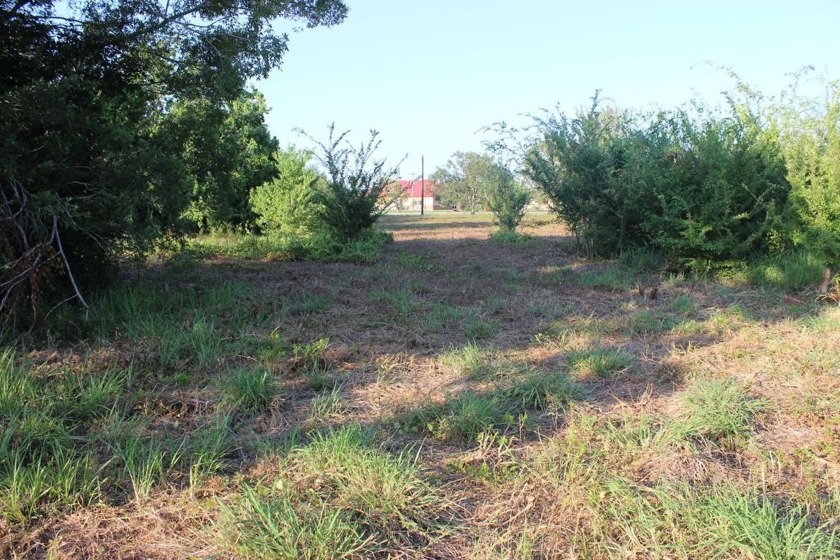 Nice sized lot at 112' X - Beach Lot for sale in Palacios, Texas on Beachhouse.com