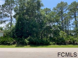 Prime location lot on a wide street with plenty of privacy in - Beach Lot for sale in Palm Coast, Florida on Beachhouse.com