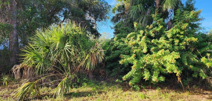 Time to start living the Florida Lifestyle.  Start now with this - Beach Lot for sale in North Port, Florida on Beachhouse.com