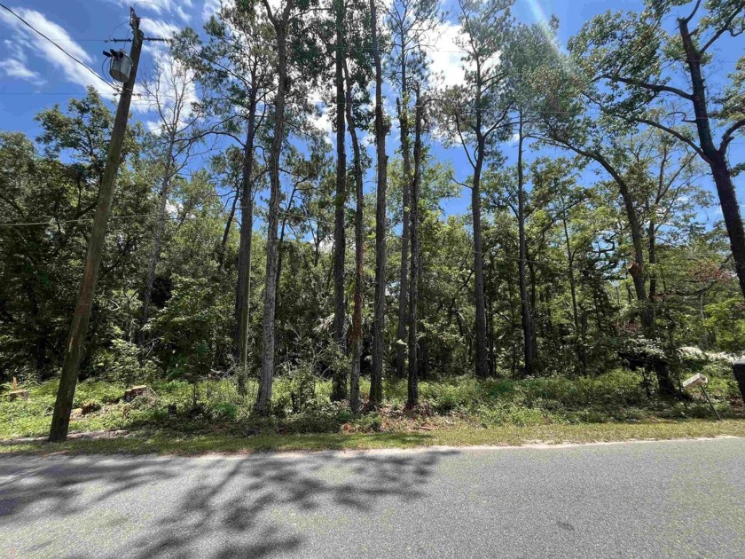 Build or bring your home on this 0.57 acre lot in Lake Ellen - Beach Lot for sale in Crawfordville, Florida on Beachhouse.com