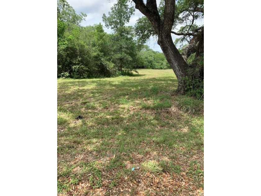 This beautiful 1.19 acre lot in the gates community of Vaquero - Beach Lot for sale in Palacios, Texas on Beachhouse.com