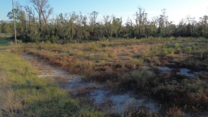 Here's your chance to create something special on this 1-acre - Beach Lot for sale in Keaton Beach, Florida on Beachhouse.com