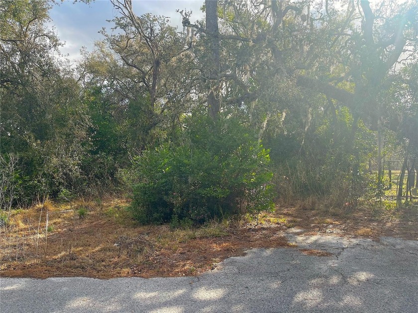 Seize the chance and opportunity to *Build it Your Way*, in this - Beach Lot for sale in New Port Richey, Florida on Beachhouse.com