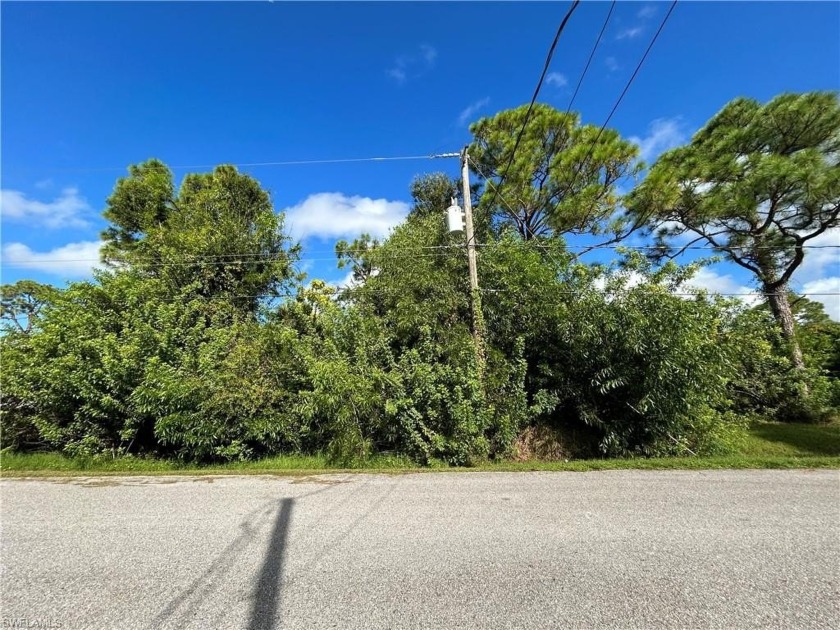 Located right on a canal, this vacant mobile home lot in Punta - Beach Lot for sale in Punta Gorda, Florida on Beachhouse.com