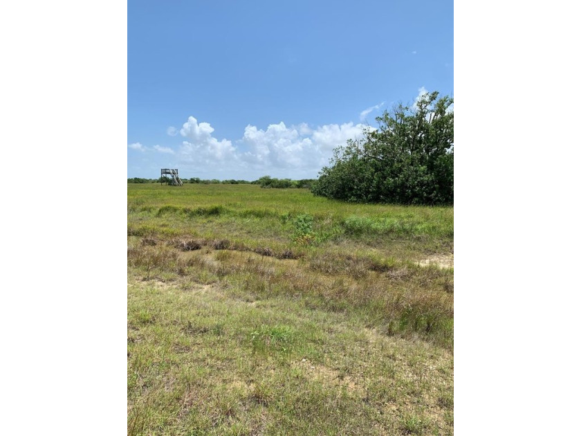 Three acres in the beautiful, secluded Cape Shores community of - Beach Acreage for sale in Palacios, Texas on Beachhouse.com