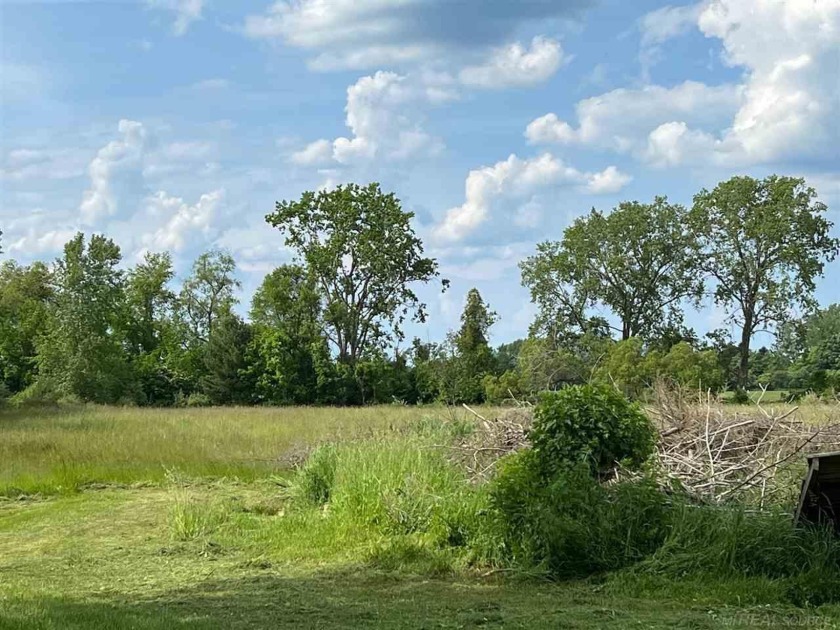 Great location for your new home on 11.1 acres with 93' of - Beach Acreage for sale in Carsonville, Michigan on Beachhouse.com