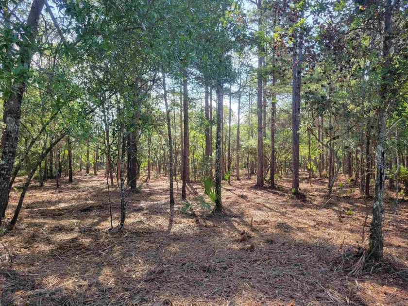 2 parcel IDs included in this sale: 03-6S-02W-000-03697-000 (3 - Beach Acreage for sale in Ochlockonee Bay, Florida on Beachhouse.com