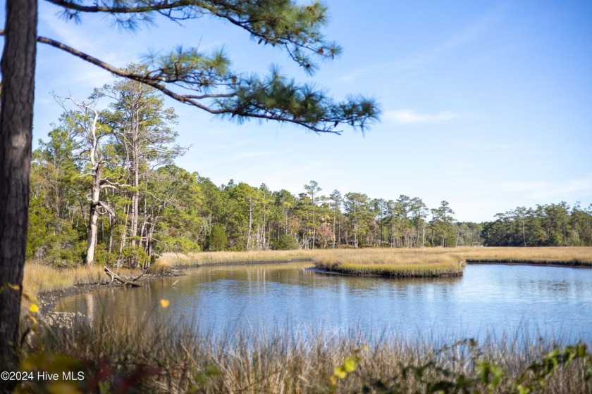 Are you looking for a perfect location to build your dream home? - Beach Lot for sale in Peletier, North Carolina on Beachhouse.com