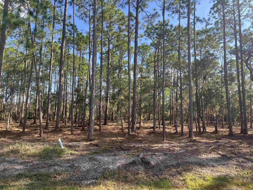 Freshly mulched 1 acre on a quiet cul-de-sac street. Lots of - Beach Lot for sale in Ochlockonee Bay, Florida on Beachhouse.com