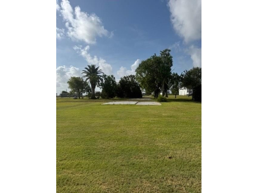5 LOTS well maintained with mature trees, and a fabulous palm - Beach Lot for sale in Palacios, Texas on Beachhouse.com