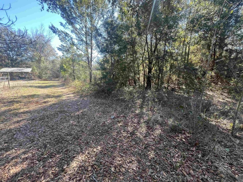 This is a rare opportunity to own 6.75 acres of raw land in the - Beach Acreage for sale in Crawfordville, Florida on Beachhouse.com