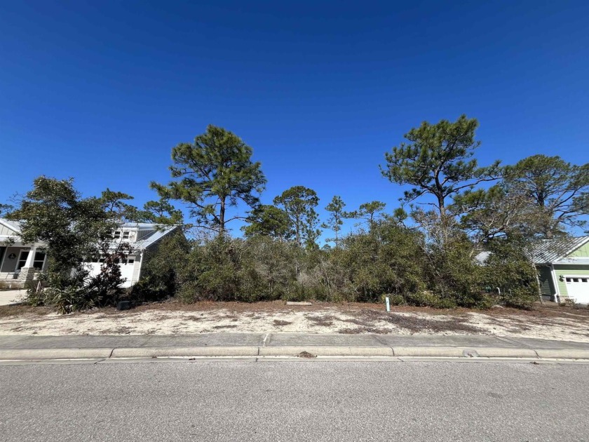 Prime Location to build your dream home on this 0.23 acre lot in - Beach Lot for sale in Carabelle, Florida on Beachhouse.com