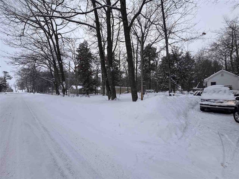 Affordable Up North opportunity with extra lot + deeded water - Beach Home for sale in Carp Lake, Michigan on Beachhouse.com