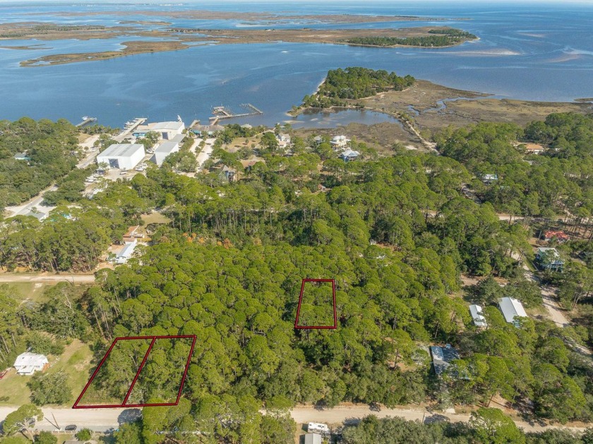 Build your coastal get-away on this wooded lot!  Zoned for homes - Beach Lot for sale in Panacea, Florida on Beachhouse.com