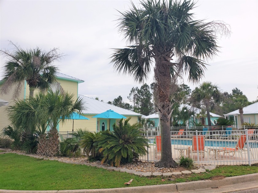 Spacious cottage-pet friendly-close to The Wharf-minutes from - Beach Vacation Rentals in Orange Beach, Alabama on Beachhouse.com