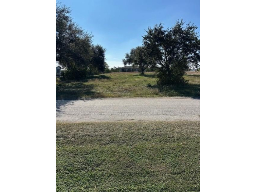 Two Beautiful Town Lots, mature trees, city utilities available - Beach Lot for sale in Palacios, Texas on Beachhouse.com