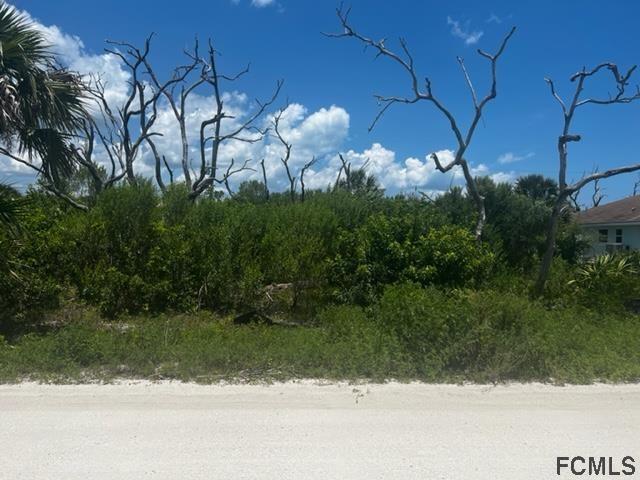 Just steps to the beach! Looking to build your dream home? If - Beach Lot for sale in Palm Coast, Florida on Beachhouse.com