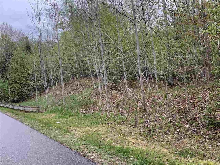 Opportunities like this are becoming increasingly rare -- a - Beach Lot for sale in Petoskey, Michigan on Beachhouse.com