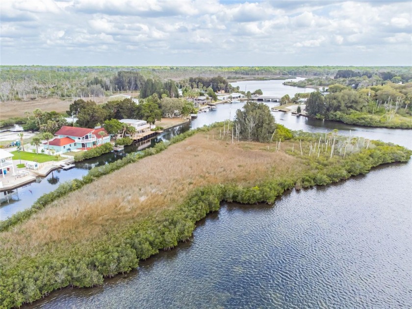 WHAT A DEAL! HUGE PRICE IMPROVEMENT!!! A private island for sale - Beach Acreage for sale in Spring Hill, Florida on Beachhouse.com