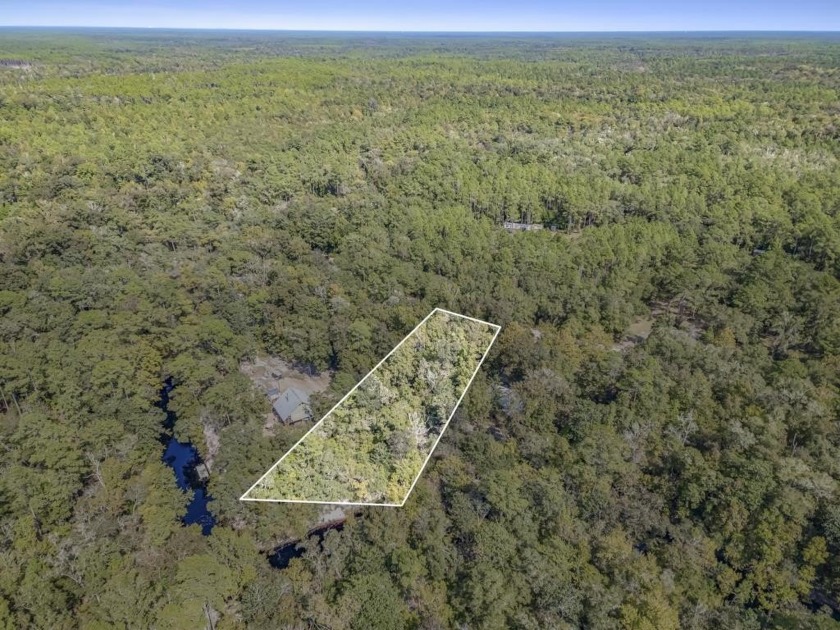 Looking for a peaceful place to build your dream home or - Beach Lot for sale in Sopchoppy, Florida on Beachhouse.com