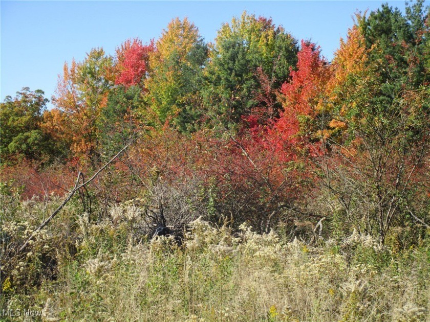 So hard to find...and JUST in time for hunting season! Don't - Beach Acreage for sale in Madison, Ohio on Beachhouse.com