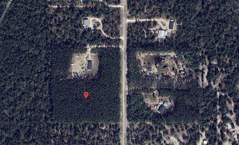 Don't miss the opportunity to own these high and dry 5 acres in - Beach Acreage for sale in Perry, Florida on Beachhouse.com