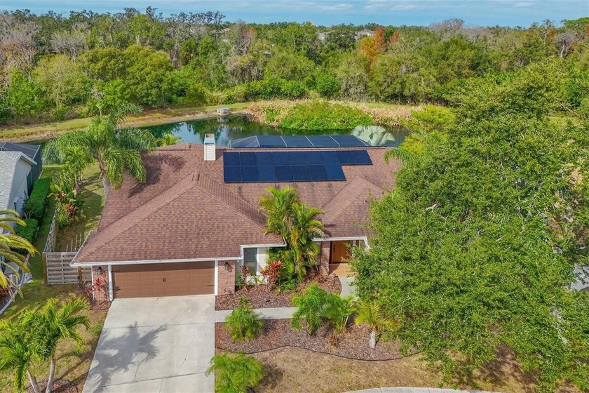 Welcome to your own resort-style outdoor oasis in the heart of - Beach Home for sale in Sarasota, Florida on Beachhouse.com