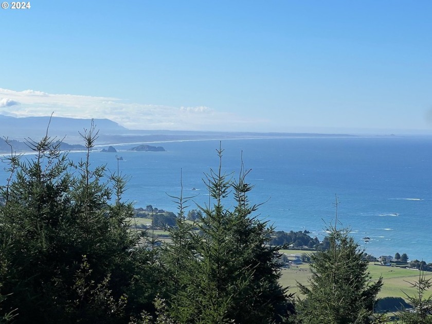 READY-TO-BUILD EXPANSIVE LUXURY OCEAN VIEW LOT!! - A short - Beach Lot for sale in Brookings, Oregon on Beachhouse.com