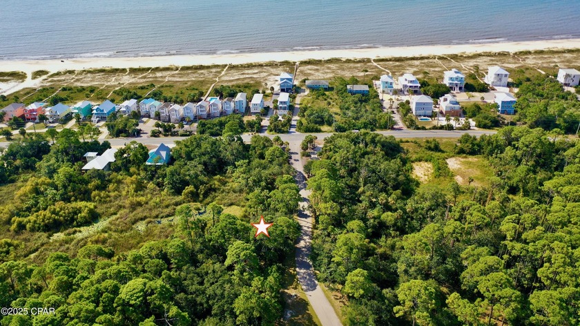 Discover Lot 37 in the sought-after Water's Edge community, a - Beach Lot for sale in Port St Joe, Florida on Beachhouse.com