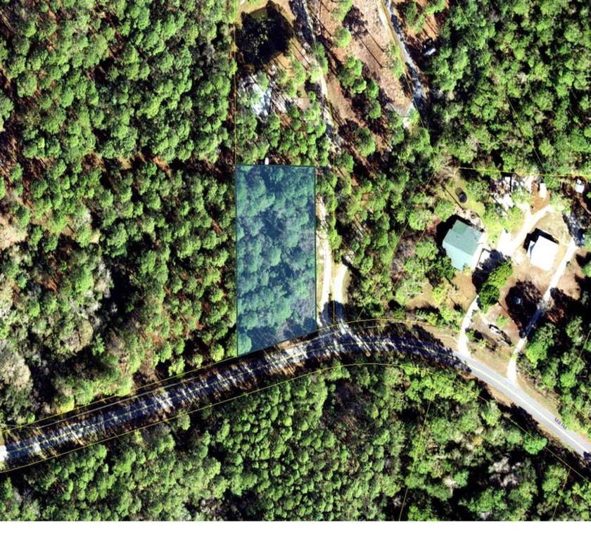 GET IT WHILE YOU CAN! .98 acre lot (approx.) on paved road, view - Beach Lot for sale in Carabelle, Florida on Beachhouse.com