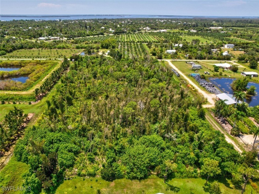 Pine Island tropical home site and farm is perfect for Indulging - Beach Acreage for sale in Bokeelia, Florida on Beachhouse.com