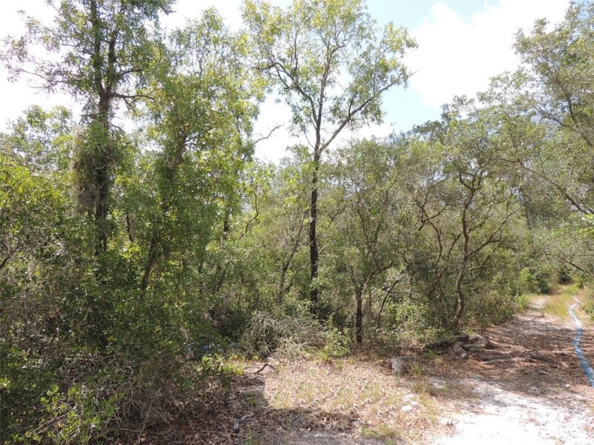 CEDAR KEY 0.60 ACRE, PRIVATE, BUILDING LOT, MOTIVATED SELLER!! - Beach Lot for sale in Cedar Key, Florida on Beachhouse.com