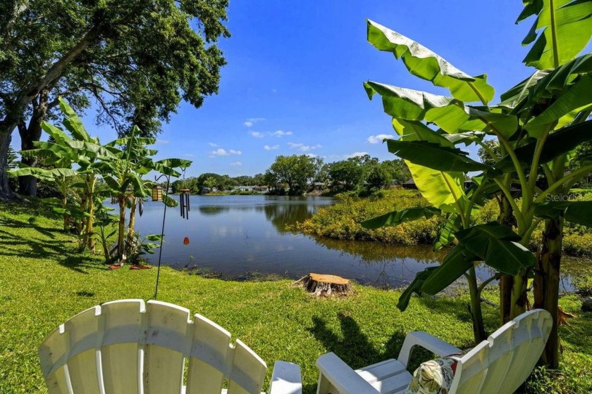 Looking for an updated Dunedin home with tranquil water views? - Beach Home for sale in Dunedin, Florida on Beachhouse.com