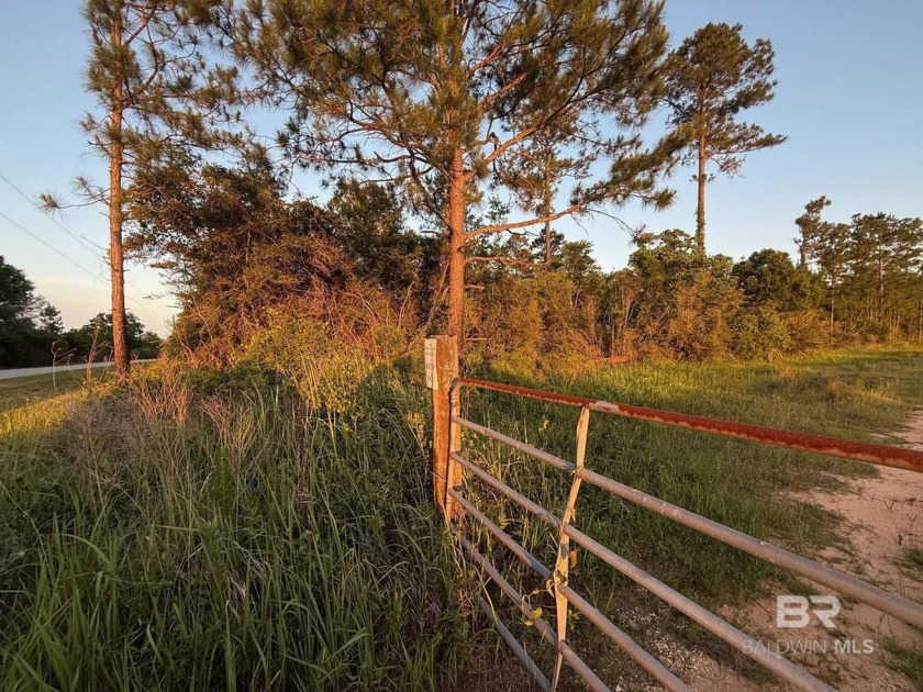 Investor  Developer Opportunity: 1,123.776 Acres in Baldwin - Beach Acreage for sale in Elberta, Alabama on Beachhouse.com