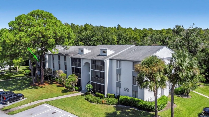 Live like you are on vacation every day...Welcome to Pine Ridge - Beach Condo for sale in Tarpon Springs, Florida on Beachhouse.com