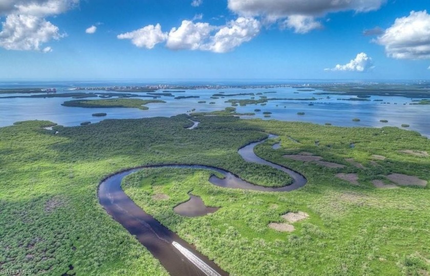 This is THE ONE! YOUR ultimate GULF ACCESS Florida getaway. This - Beach Home for sale in Estero, Florida on Beachhouse.com