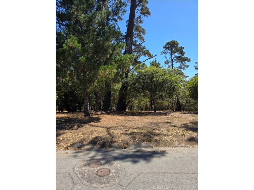 Here's your chance to invest in your future. This parcel has a - Beach Lot for sale in Cambria, California on Beachhouse.com