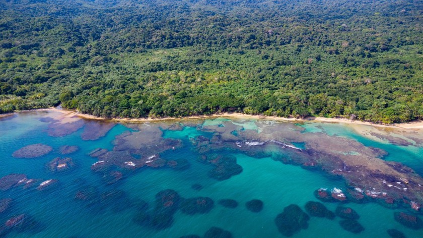 Two unique estates are for sale on Panama's Atlantic coast - Beach Lot for sale in Colón,  on Beachhouse.com